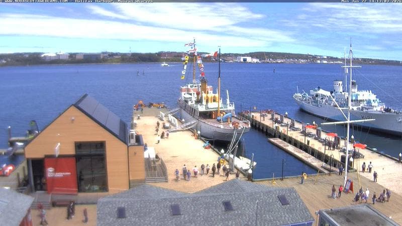 Museum Wharves