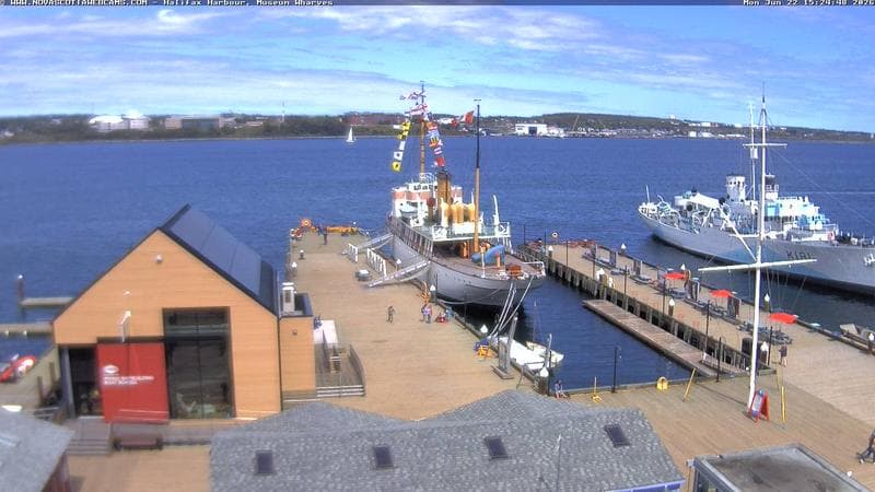 Museum Wharves