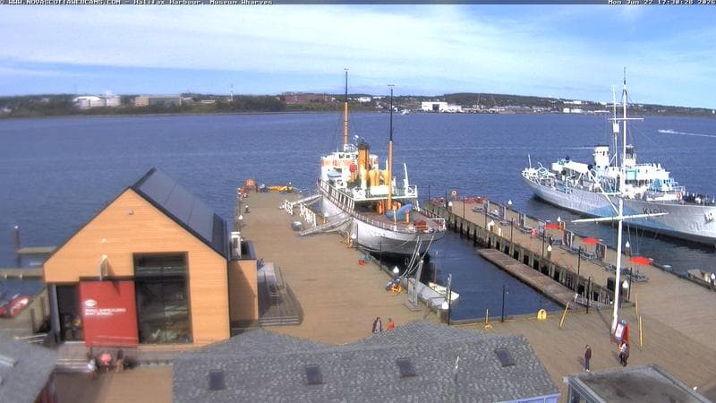 Museum Wharves