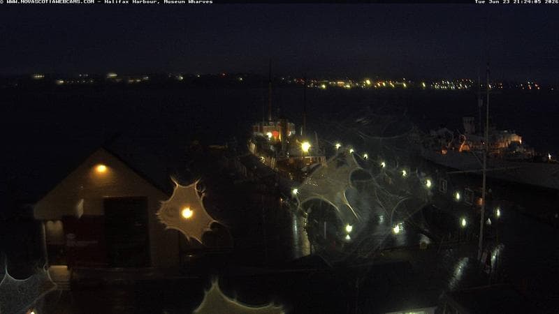 Museum Wharves