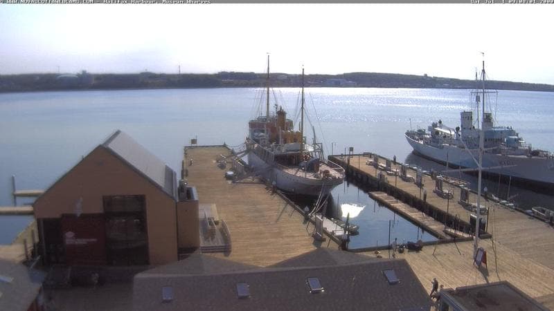 Museum Wharves