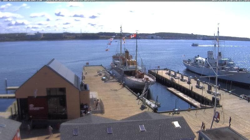 Museum Wharves
