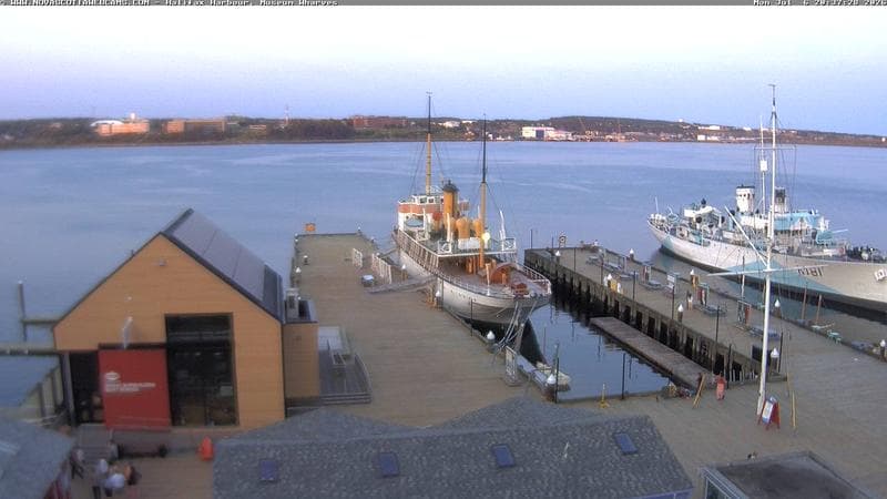 Museum Wharves
