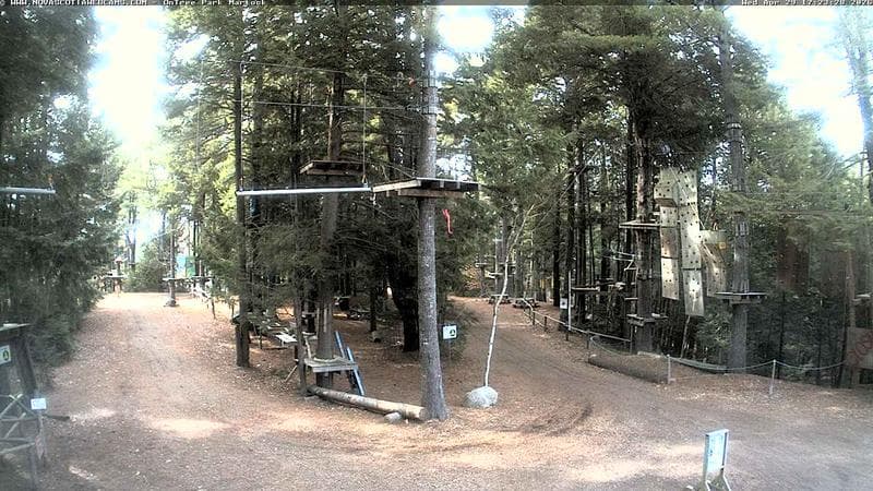 Ontree Park