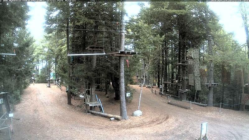 Ontree Park