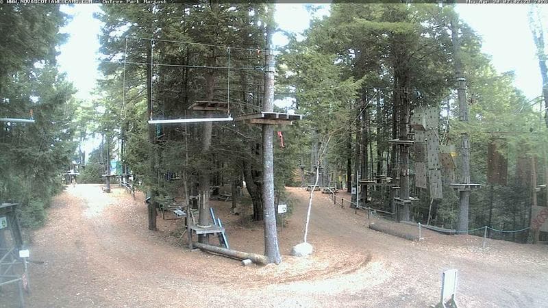 Ontree Park