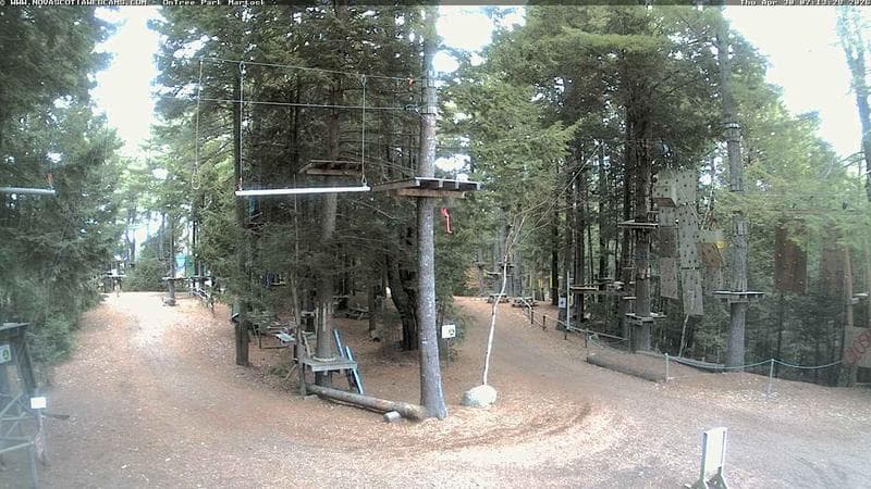 Ontree Park