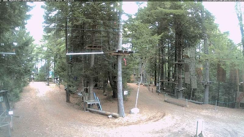 Ontree Park