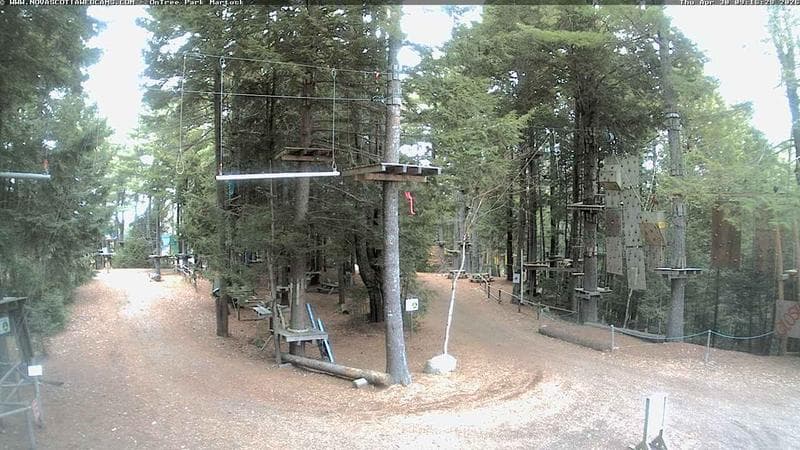 Ontree Park