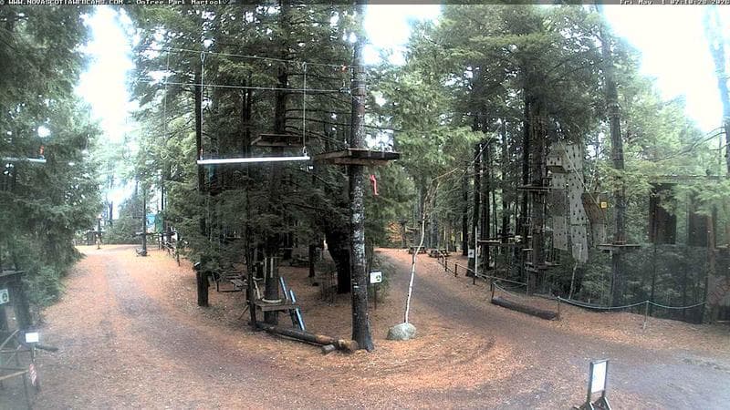 Ontree Park