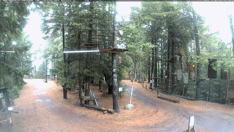 Ontree Park