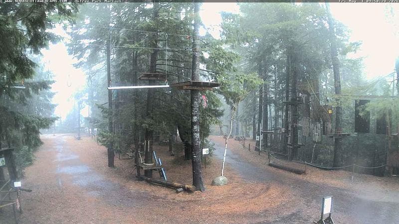 Ontree Park