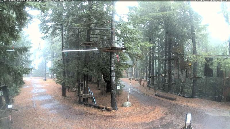 Ontree Park