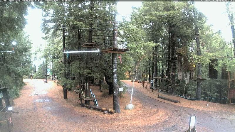 Ontree Park