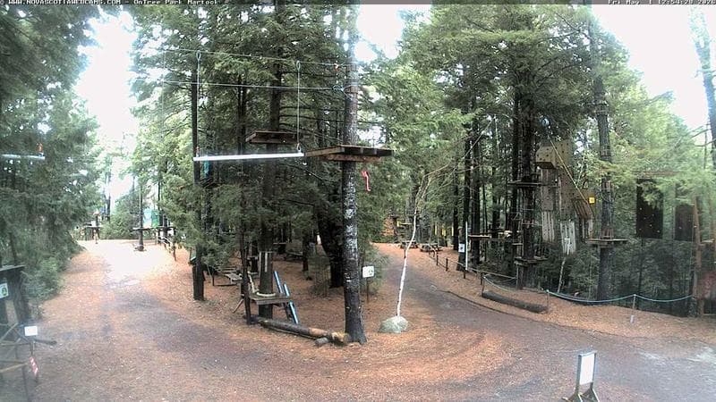 Ontree Park