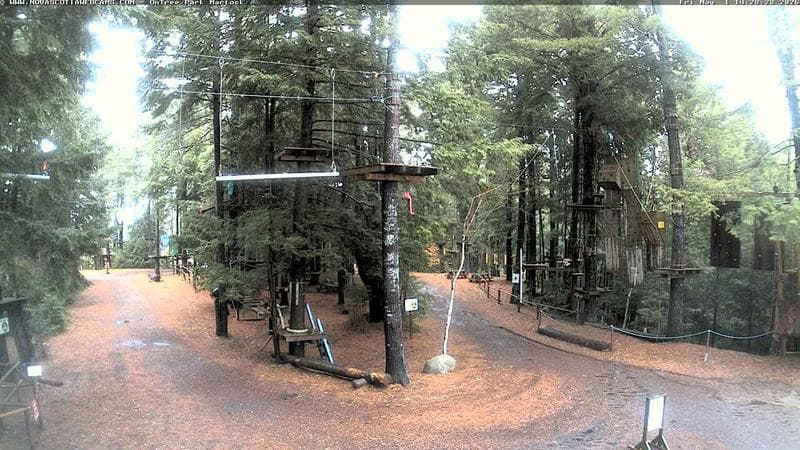 Ontree Park