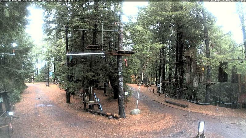 Ontree Park
