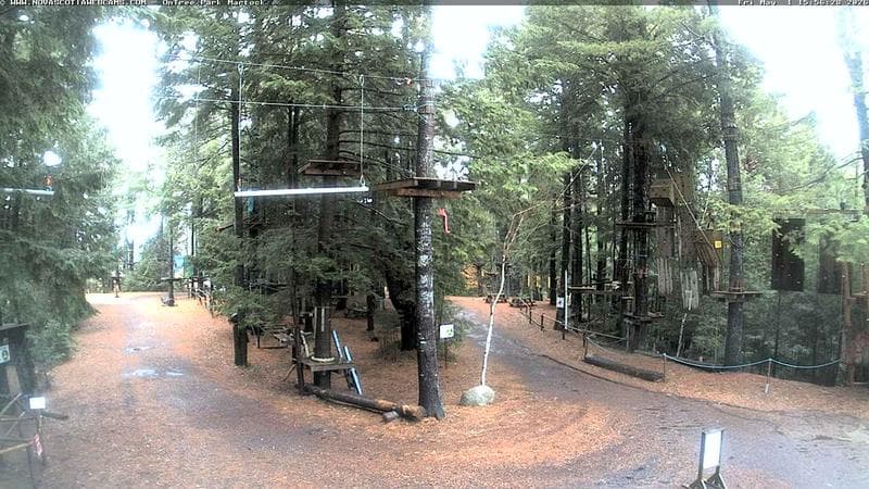 Ontree Park