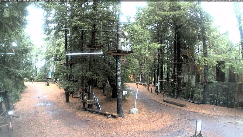 Ontree Park