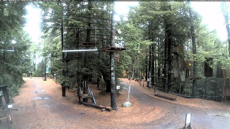 Ontree Park