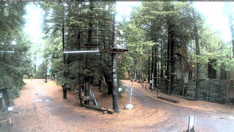 Ontree Park
