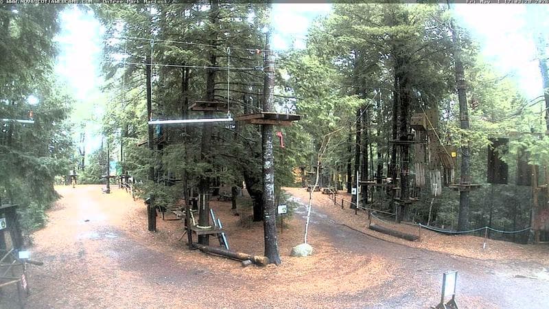 Ontree Park
