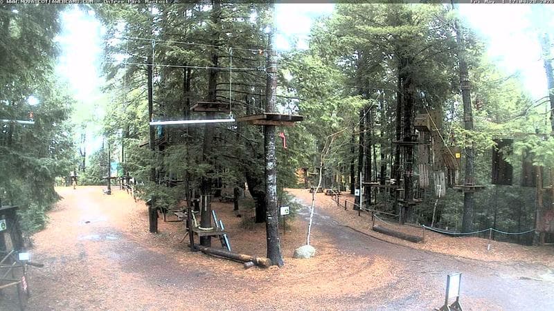 Ontree Park