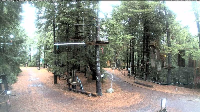Ontree Park