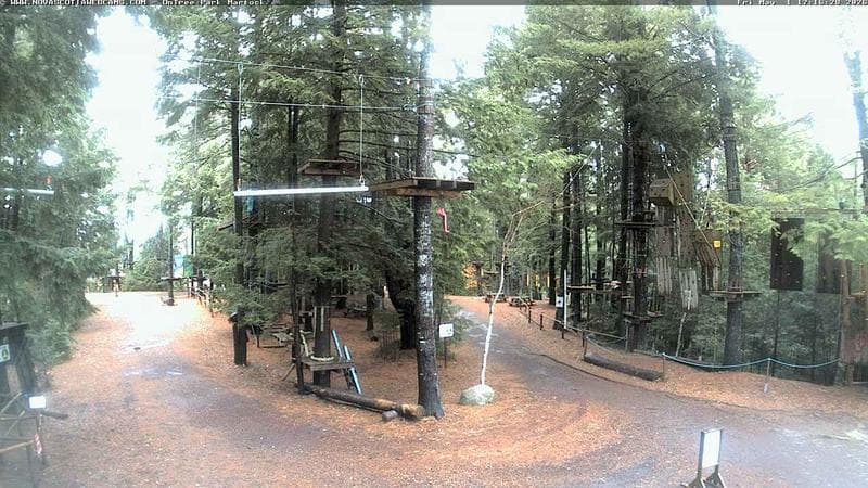 Ontree Park