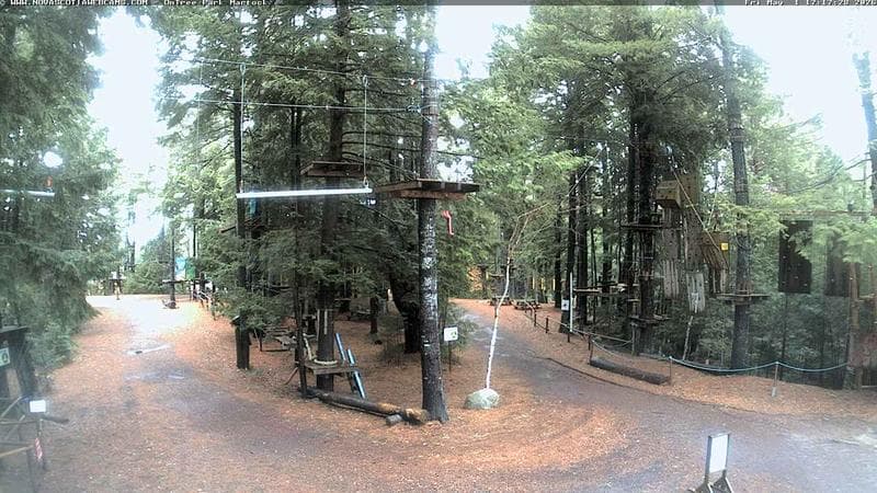 Ontree Park