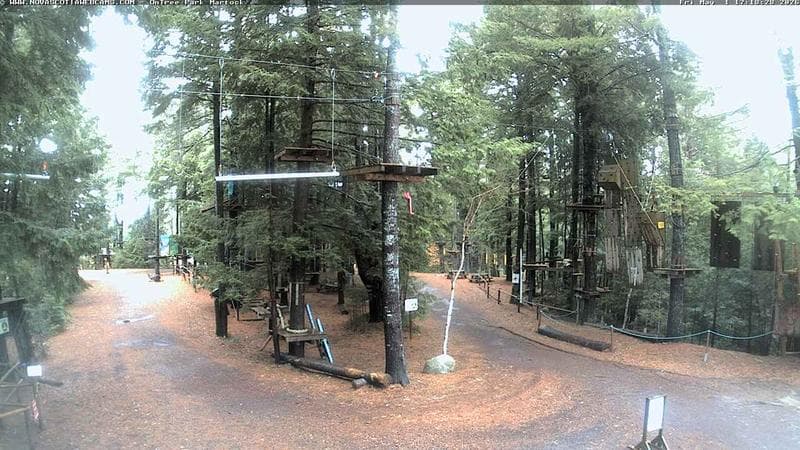 Ontree Park