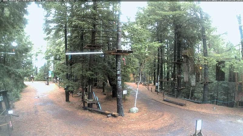 Ontree Park