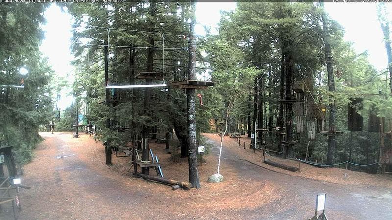 Ontree Park