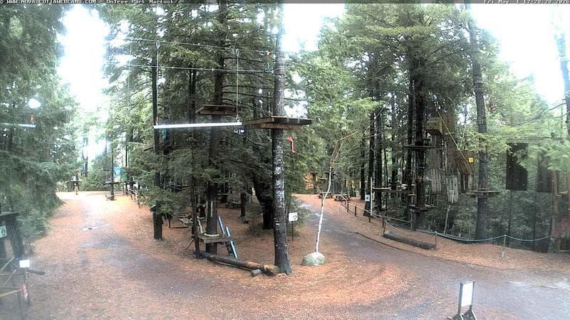 Ontree Park