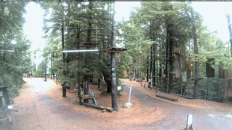 Ontree Park
