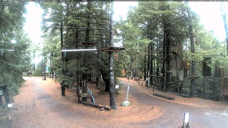 Ontree Park