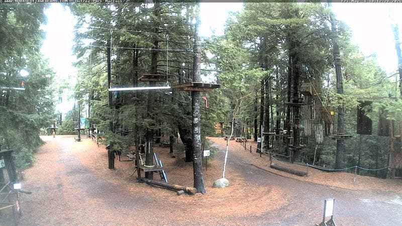 Ontree Park