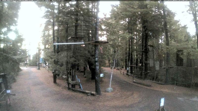 Ontree Park