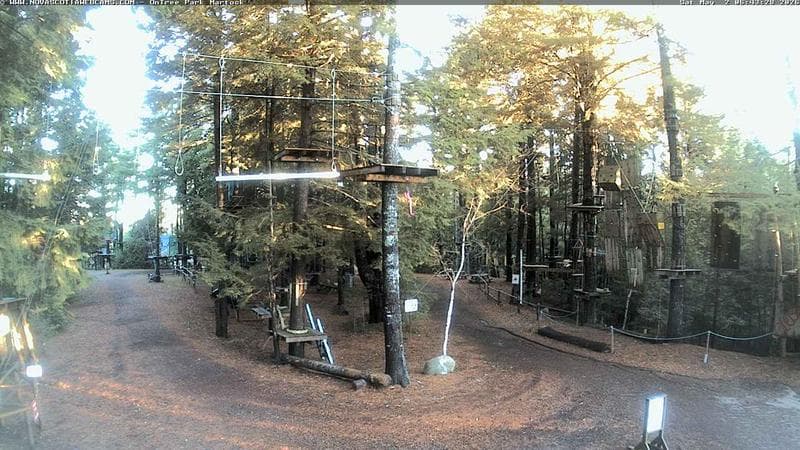 Ontree Park