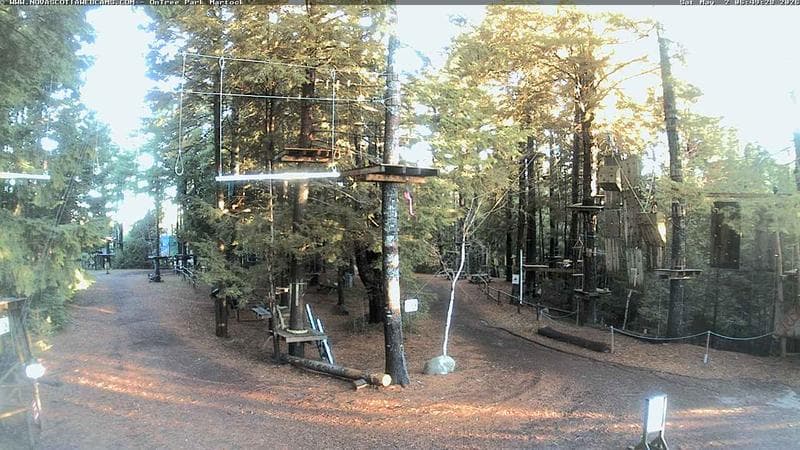Ontree Park