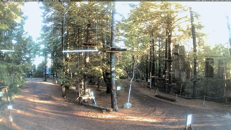 Ontree Park