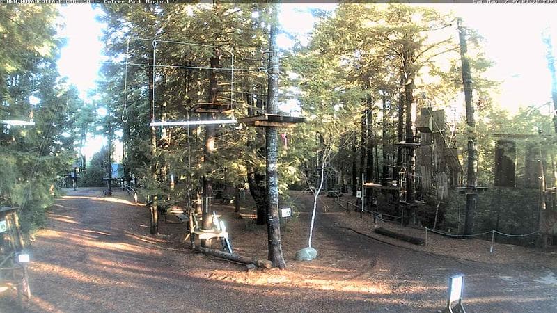 Ontree Park