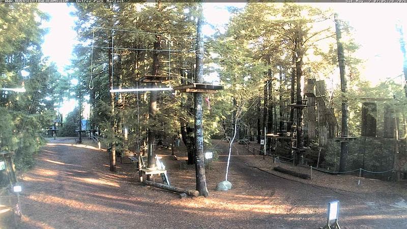 Ontree Park