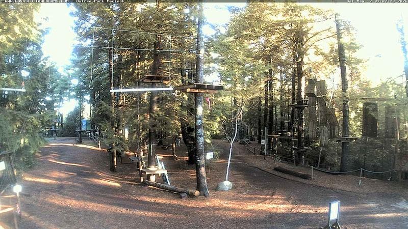 Ontree Park