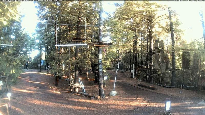 Ontree Park