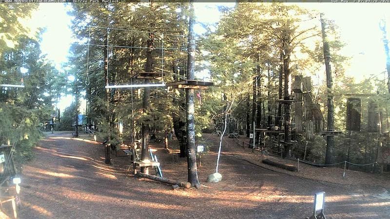 Ontree Park