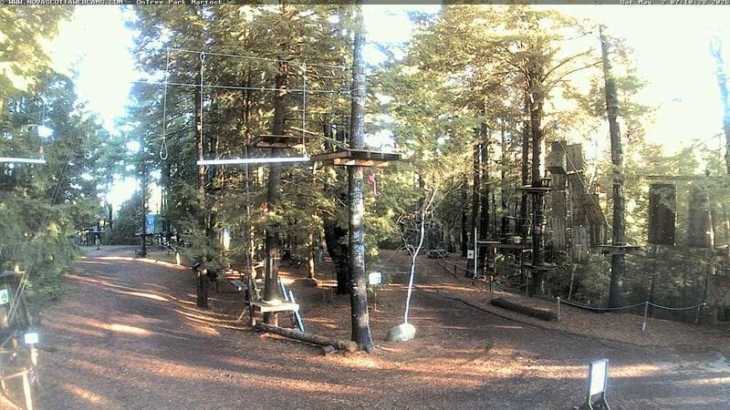 Ontree Park