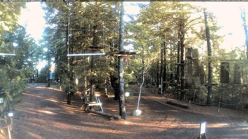 Ontree Park