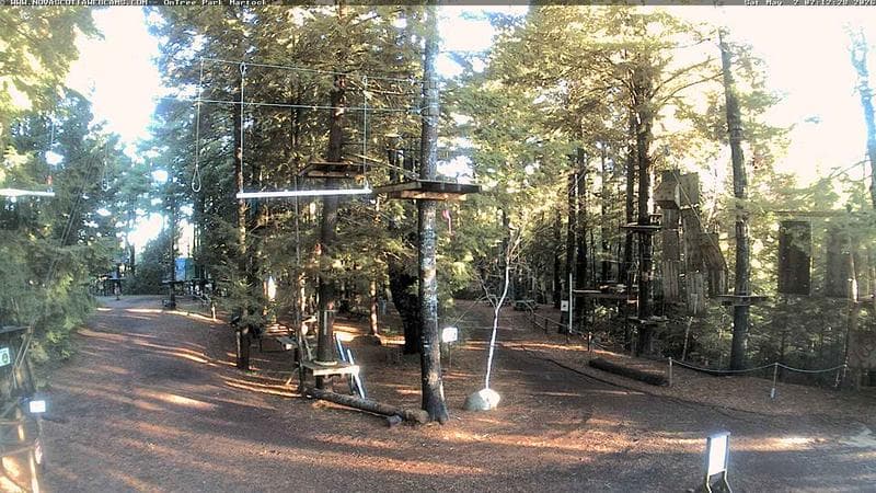 Ontree Park