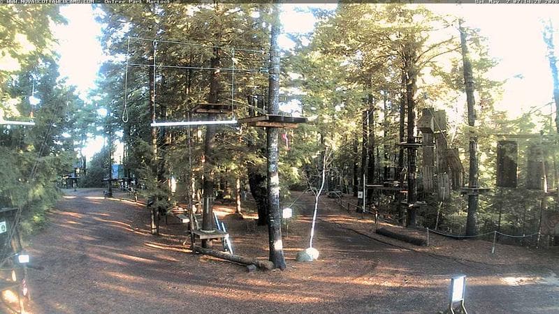 Ontree Park